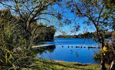 Se vende parcela en Quillón orilla de Laguna Avendaño