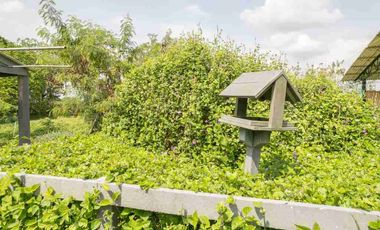 VENDO LOTE CON CASA PATRIMONIAL ZONA AEROPUERTO 21.000 m2