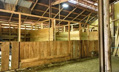 CAMPO 75 HA CON ORILLA DE RIO