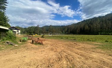 CAMPO 75 HA CON ORILLA DE RIO