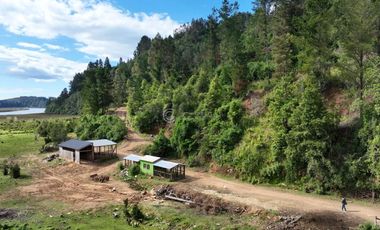 CAMPO 75 HA CON ORILLA DE RIO