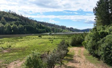 CAMPO 75 HA CON ORILLA DE RIO