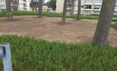 Departamento En Venta En Condominio Parquemar El Tabo