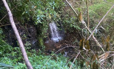 CAMPO CON ORILLA DE RIO A 20 KM DE VALDIVIA
