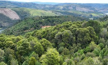 CAMPO CON ORILLA DE RIO A 20 KM DE VALDIVIA