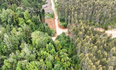 CAMPO CON ORILLA DE RIO A 20 KM DE VALDIVIA