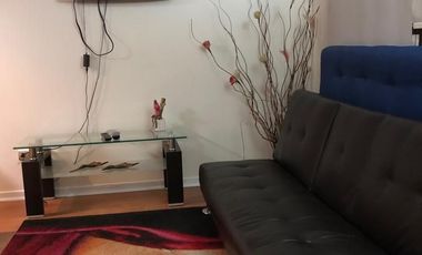 Excelente ubicacion en el centro de Santiago.