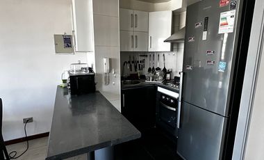 Arriendo Amoblado General Holley