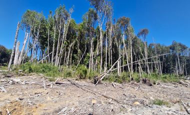 PARCELAS, ALERCES DE LAUCA. PUERTO MONTT