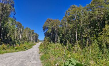 PARCELAS, ALERCES DE LAUCA. PUERTO MONTT
