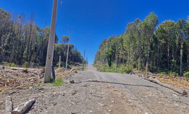 PARCELAS, ALERCES DE LAUCA. PUERTO MONTT