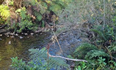 PARCELAS, ALERCES DE LAUCA. PUERTO MONTT