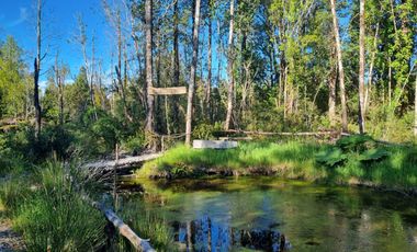 PARCELAS, ALERCES DE LAUCA. PUERTO MONTT