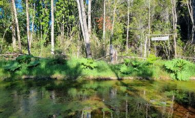 PARCELAS, ALERCES DE LAUCA. PUERTO MONTT