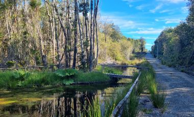 PARCELAS, ALERCES DE LAUCA. PUERTO MONTT