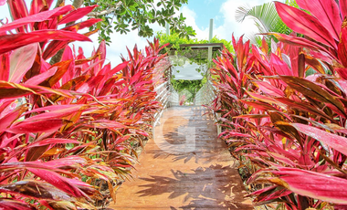 Casa en Venta en Cancún en Residencial Aqua by Cumbres con Alberca