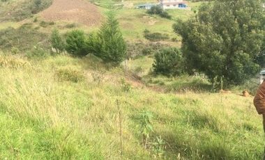 Terreno en venta 4.250m2 entre Zhucay y Tarqui, sur de Cuenca Ec.