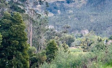 Terreno Sector Zhullin - Zumbahuaco, Via Cuenca-Azogues
