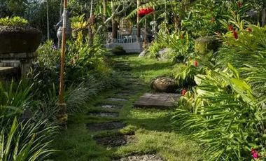 Luxury villa full view jungle sungai ubud bali