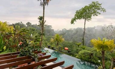 Luxury villa full view jungle sungai ubud bali