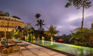 Luxury villa full view jungle sungai ubud bali