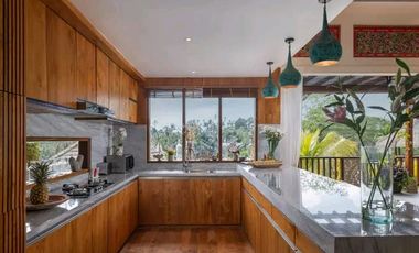 Luxury villa full view jungle sungai ubud bali