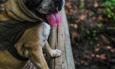 Terrenos de 1150 m² en venta en Vía a la Costa