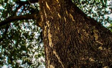 Terrenos de 1150 m² en venta en Vía a la Costa