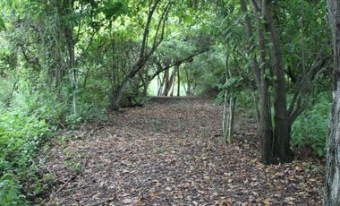 Terrenos de 1150 m² en venta en Vía a la Costa