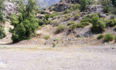 Vendo gran parcela en Fundo san francisco, Los Andes, sector Las Alpacas.