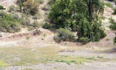 Vendo gran parcela en Fundo san francisco, Los Andes, sector Las Alpacas.