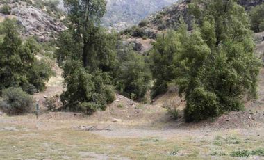 Vendo gran parcela en Fundo san francisco, Los Andes, sector Las Alpacas.