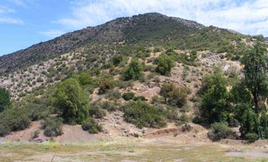 Vendo gran parcela en Fundo san francisco, Los Andes, sector Las Alpacas.