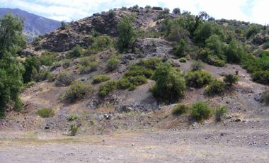 Vendo gran parcela en Fundo san francisco, Los Andes, sector Las Alpacas.