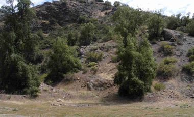 Vendo gran parcela en Fundo san francisco, Los Andes, sector Las Alpacas.