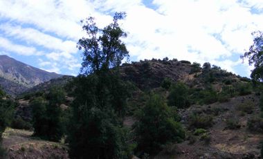 Vendo gran parcela en Fundo san francisco, Los Andes, sector Las Alpacas.