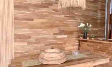 villa luas dekat hotel plagoo nusa dua bali