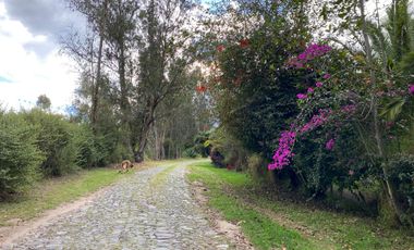 🌿 Hermosos Lotes en Cotacachi🌿 🔥 Beautiful Lots in Cotacachi – Private Complex 🏡🌿