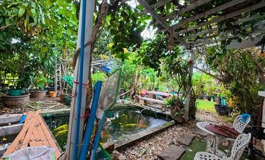 Corner Unit Next to the Community Garden!!! Single house for sale in Baan Suan Aeksayam Project, corner unit with 101 sq.w.