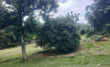 Kavling Murah  1890 meter , Jl Juanda Bogor