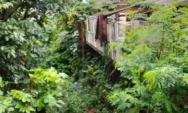 Kavling Murah  1890 meter , Jl Juanda Bogor