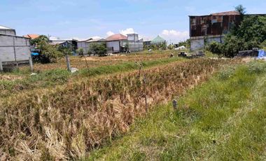 Jual Tanah kavling, siap bangun Murah KTP Surabaya