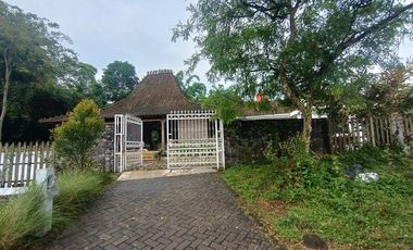 Dijual Villa Luas 1213 Meter Persegi Di Area Wisata Candibinangun Pakem Sleman