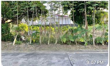 Residential Lot for sale in Paris Street, BF International South, BF International Village, 1st District, Las Piñas, Southern Manila District