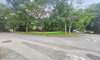 Lot For Sale Corner Lot Ayala Alabang Village Muntinlupa