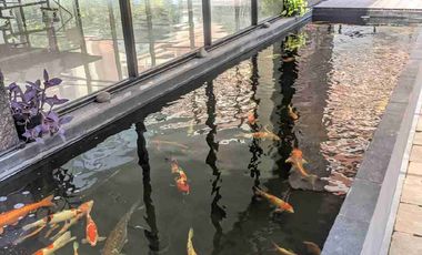 Di Jual Tipe Studio Unit Rapi Apartemen Tamansari Semanggi