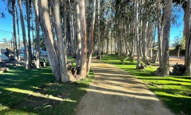 *** COSTA ALGARROBO - EDIFICIO LOS OLIVOS ***