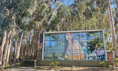 *** COSTA ALGARROBO - EDIFICIO LOS OLIVOS ***