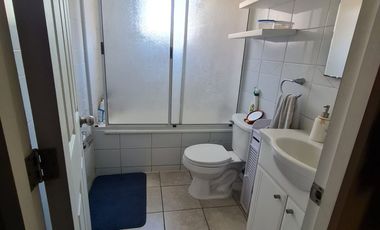 Graneros, Los Torunos