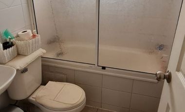 Graneros, Los Torunos